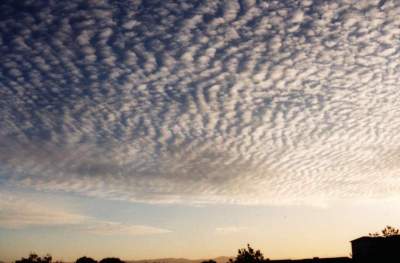 Altocumulus clouds