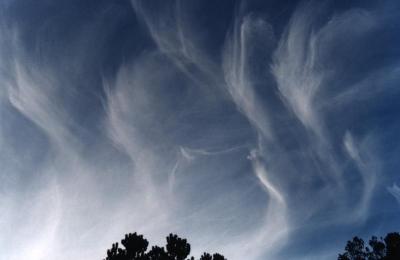 cirrus finger shaped patterns